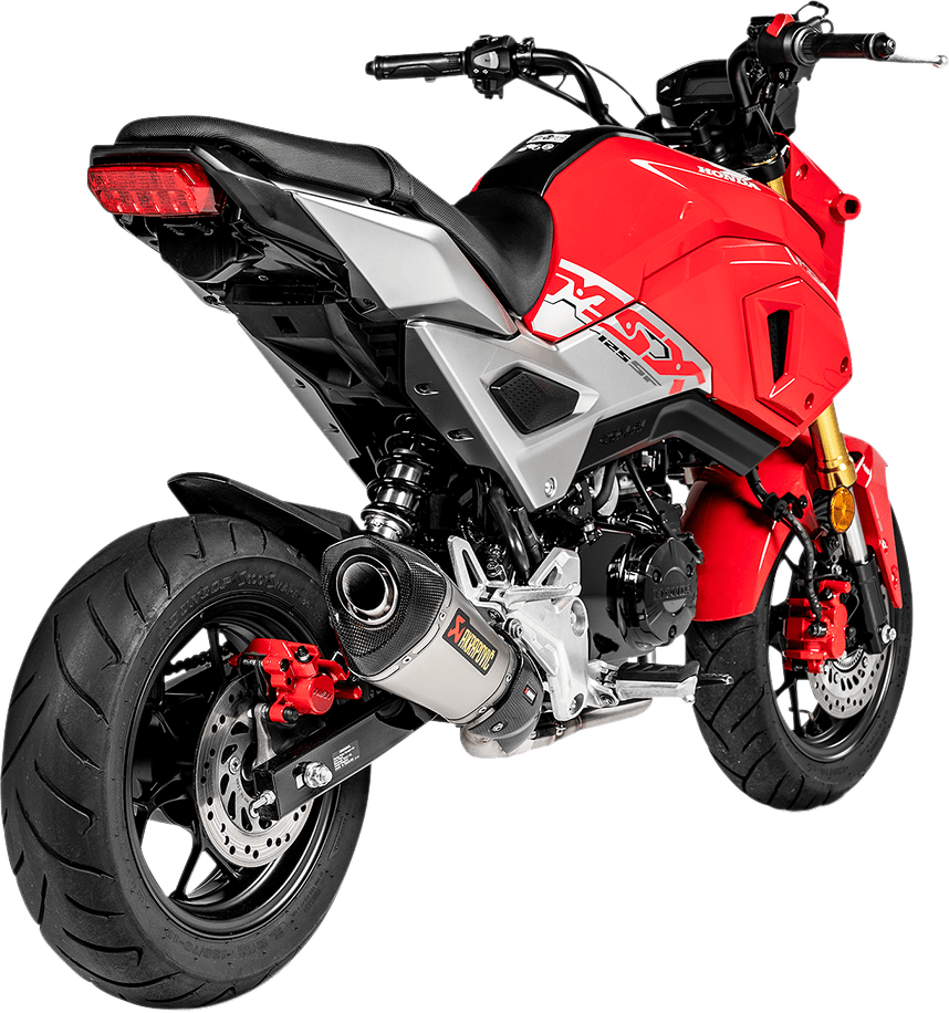 AKRAPOVIC 1810-2661 Race Exhaust - Titanium