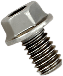 AKRAPOVIC 1860-1146 Replacement Exhaust Bolt