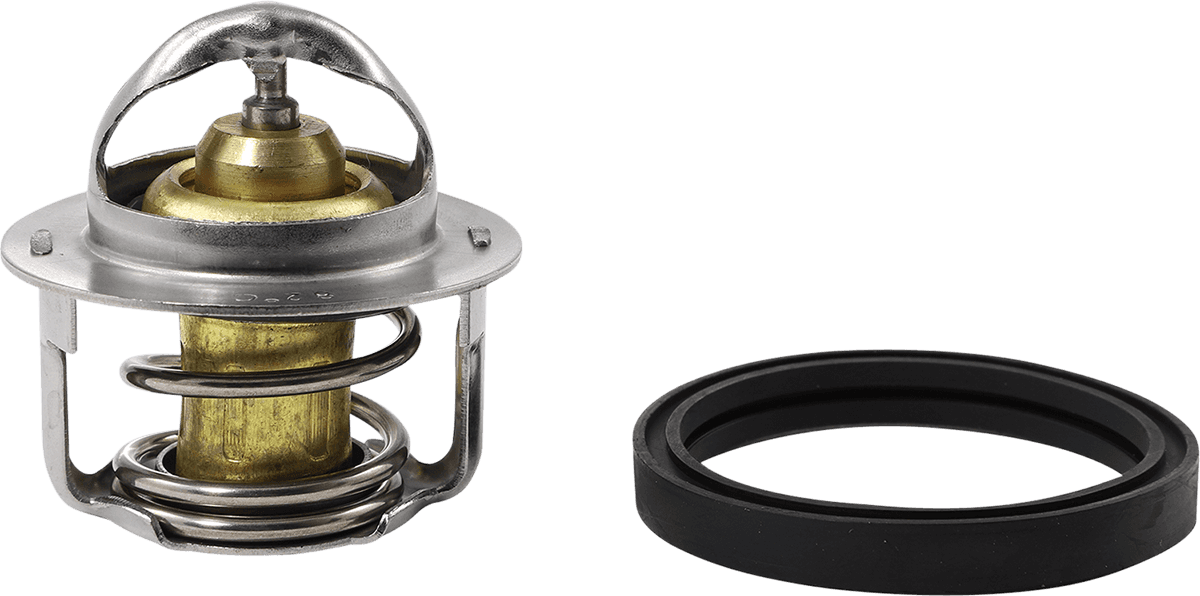 ALL BALLS 1902-1705 Replacement Thermostat - Polaris