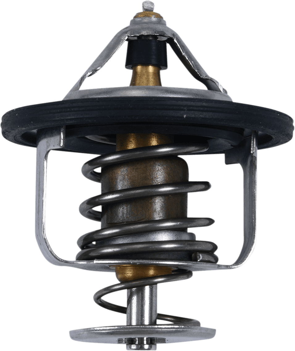 ALL BALLS 1902-1707 Replacement Thermostat - Polaris