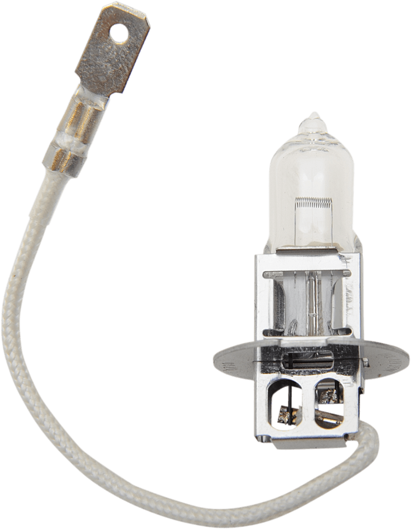 DRAG SPECIALTIES 2001-0374 Halogen Bulb - H3 - 35 W