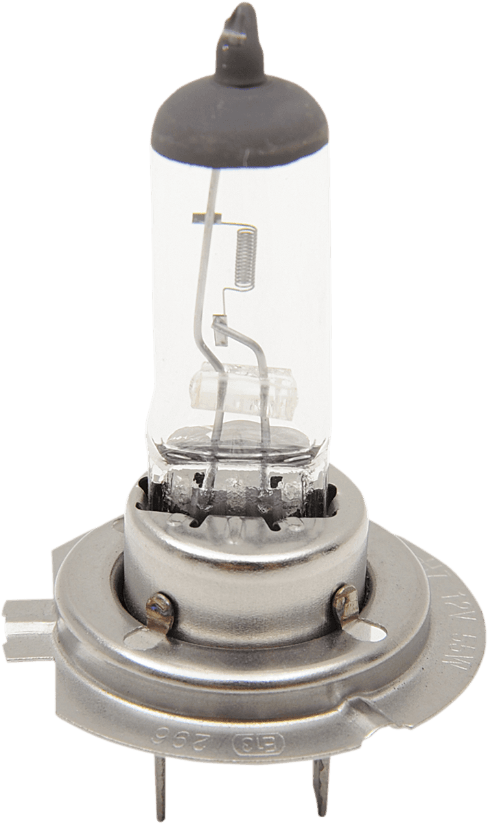 DRAG SPECIALTIES 2001-0380 Halogen Bulb - H7 - 55 W