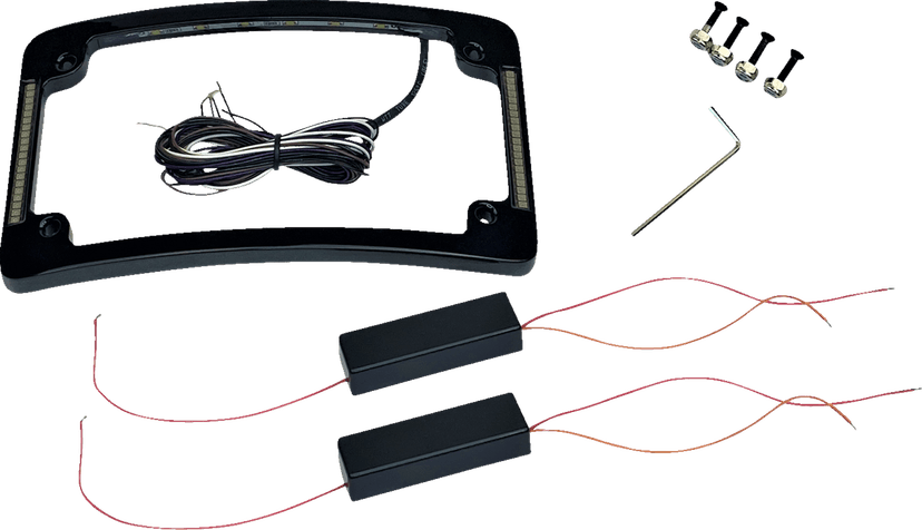 CUSTOM DYNAMICS 2030-0842 Tri-Radius License Plate Frame with Flushmount LEDs - Black — image 1 of 2