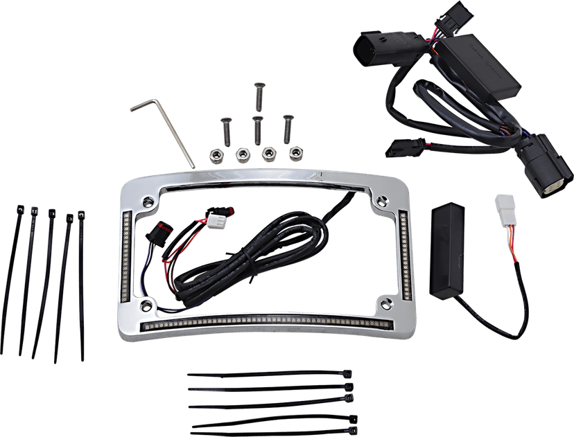 CUSTOM DYNAMICS 2030-1488 Radius License Plate Frame - Chrome — image 1 of 2