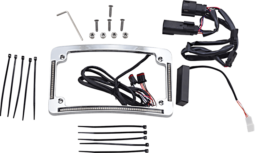 CUSTOM DYNAMICS 2030-1490 Radius License Plate Frame - Chrome — image 1 of 2