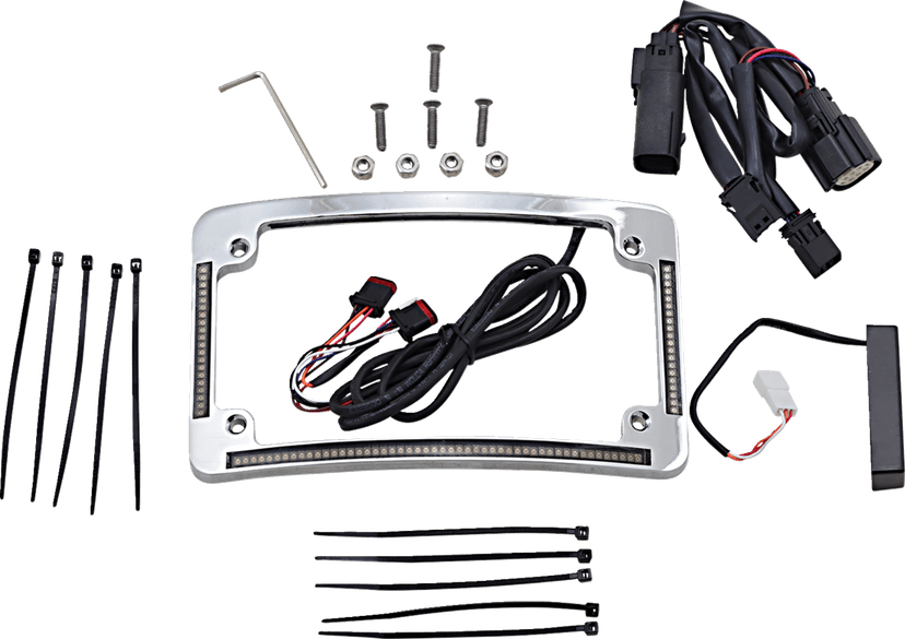 CUSTOM DYNAMICS 2030-1494 Radius License Plate Frame - Chrome — image 1 of 2