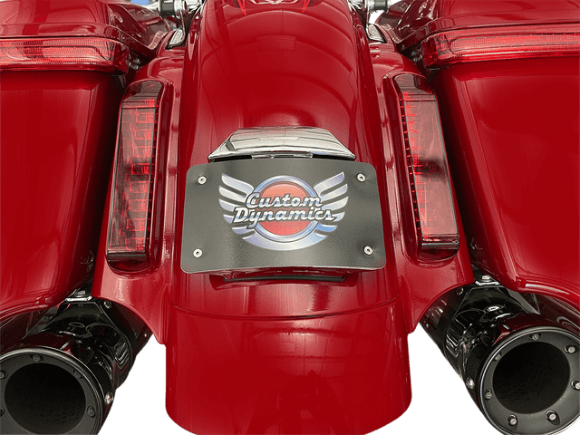 CUSTOM DYNAMICS 2030-1960 License Plate Mount - Chrome — image 2 of 3