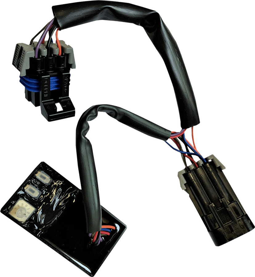 CUSTOM DYNAMICS 2050-0319 SMART Triple Play Module - Indian