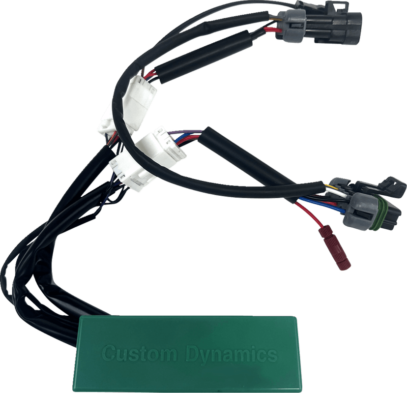 CUSTOM DYNAMICS 2050-0512 SMART Triple Play® Module - RZR Pro