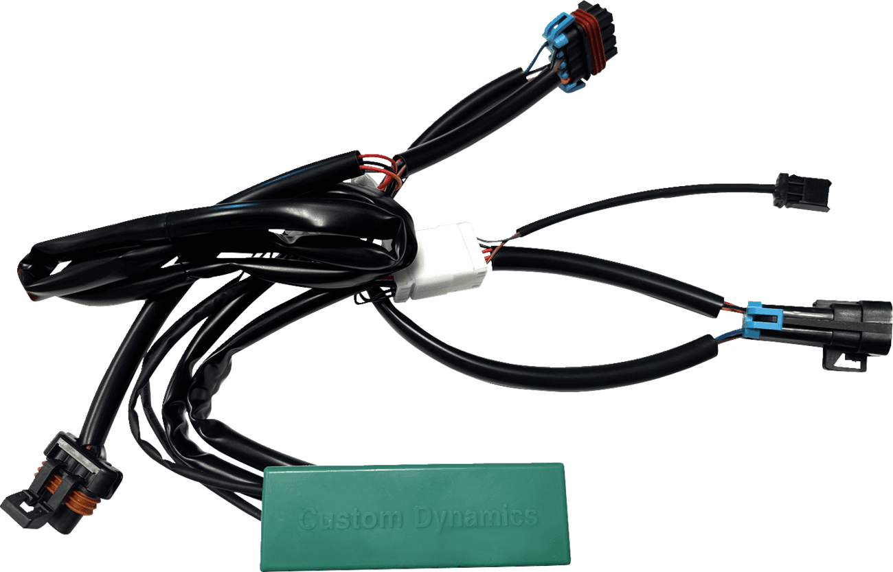 CUSTOM DYNAMICS 2050-0513 SMART Triple Play® Module - RZR