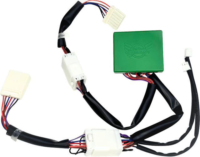 CUSTOM DYNAMICS 2050-0599 SMART Triple Play® Module - '04-'16 Sportster