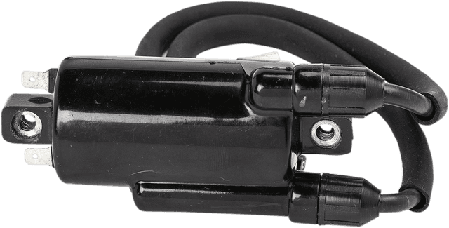 RICK'S MOTORSPORT ELECTRIC 2102-0383 Ignition Coil - Honda/Kawasaki