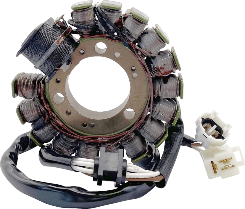 RICK'S MOTORSPORT ELECTRIC 2111-0281 Stator - Hot Shot - TW200