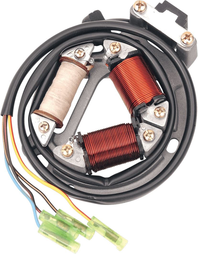 RICK'S MOTORSPORT ELECTRIC 2112-0199 Stator - Hot Shot - Suzuki