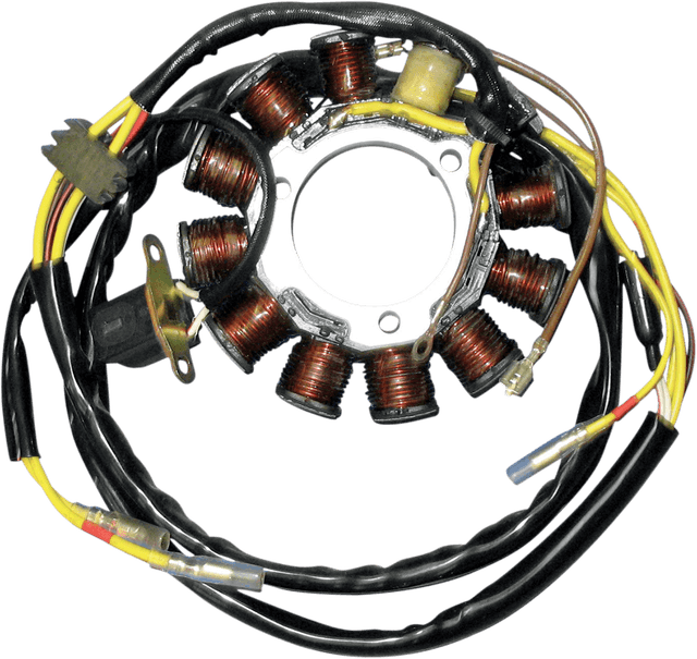 RICK'S MOTORSPORT ELECTRIC 2112-0271 Stator - Polaris