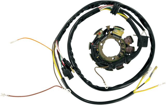 RICK'S MOTORSPORT ELECTRIC 2112-0338 Stator - Polaris