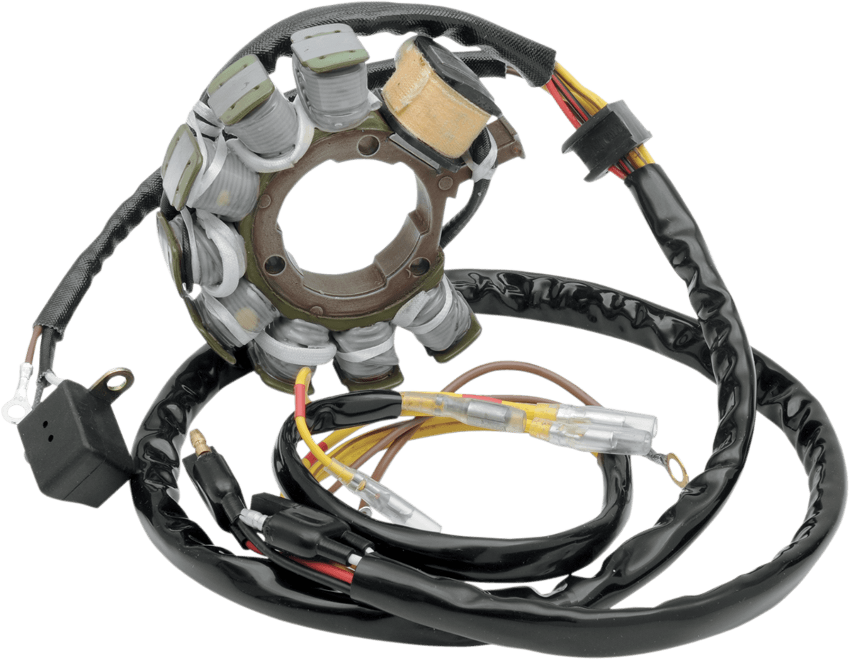 RICK'S MOTORSPORT ELECTRIC 2112-0339 Stator - Polaris