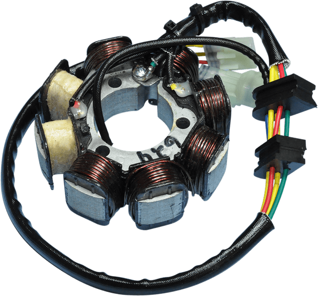 RICK'S MOTORSPORT ELECTRIC 2112-0655 Stator - Honda