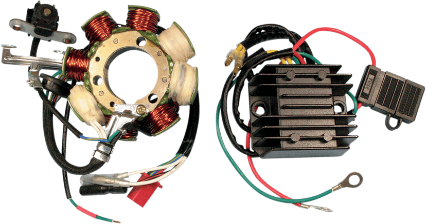 RICK'S MOTORSPORT ELECTRIC 2112-0879 Charging Kit - '03-'19 CRF230F