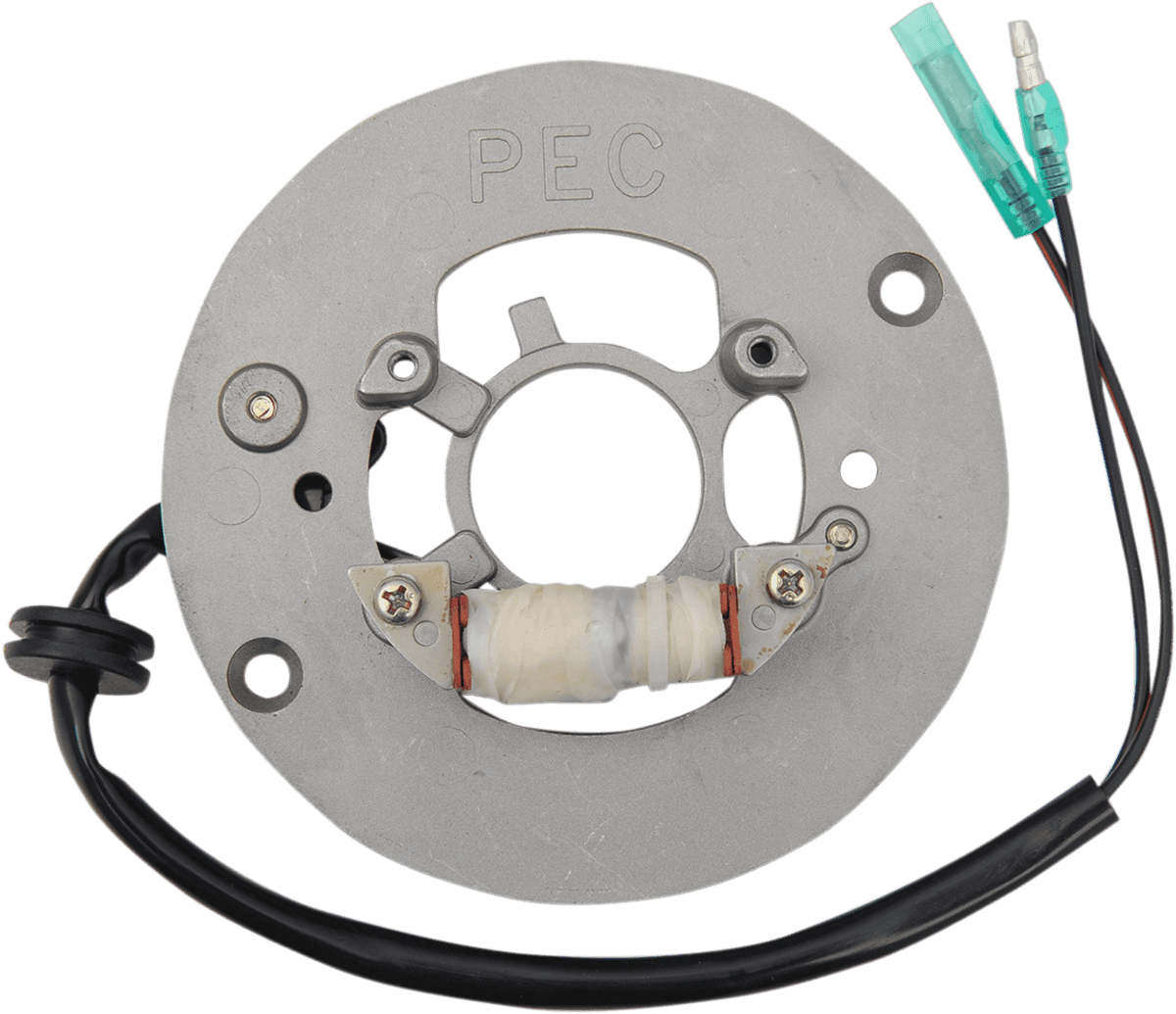 RICK'S MOTORSPORT ELECTRIC 2112-0957 Stator - Yamaha