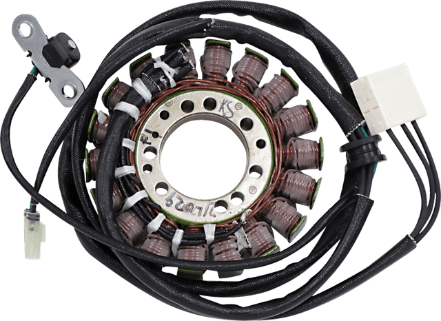 RICK'S MOTORSPORT ELECTRIC 2112-1294 Stator - Triumph