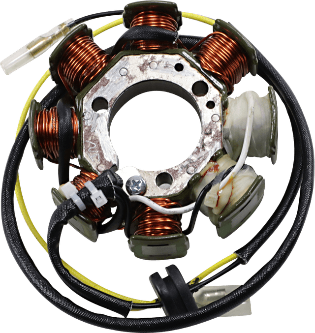 RICK'S MOTORSPORT ELECTRIC 2112-1393 Hot Shot Stator - Honda