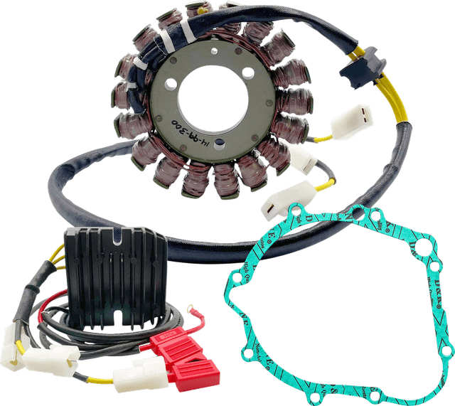 RICK'S MOTORSPORT ELECTRIC 2112-1739 Charging Kit - Lithium-Ion - Suzuki