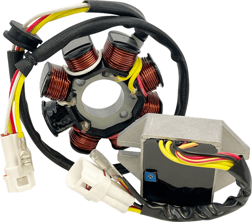 RICK'S MOTORSPORT ELECTRIC 2112-1810 Lithium-Ion Compatible Charging Kit - KTM