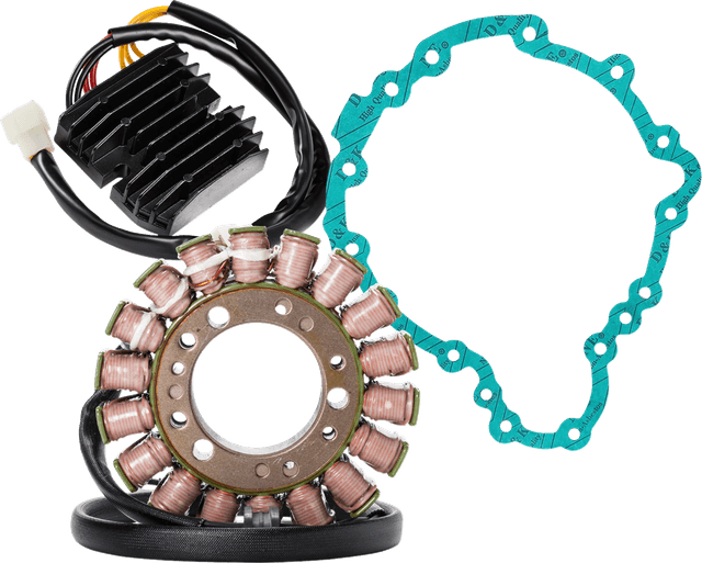 RICK'S MOTORSPORT ELECTRIC 2112-2069 Charging Kit - '02-'04 Triumph