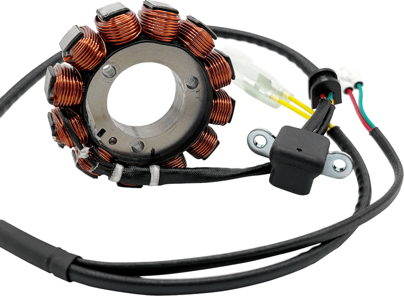 RICK'S MOTORSPORT ELECTRIC 2112-2093 Stator - Gas Gas/Husqvarna/KTM