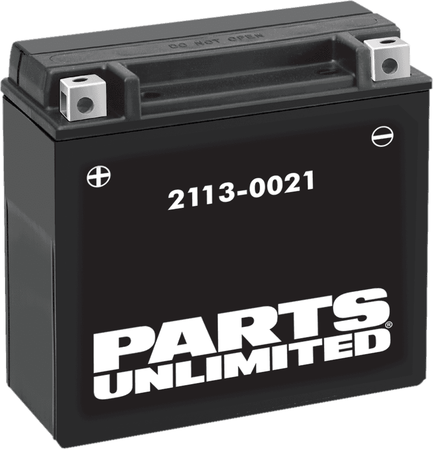 PARTS UNLIMITED 2113-0021 AGM Battery - YTX20H-BS .95 L