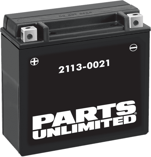 PARTS UNLIMITED 2113-0021 AGM Battery - YTX20H-BS .95 L