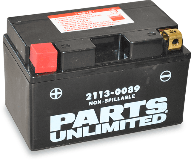 PARTS UNLIMITED 2113-0089 AGM Battery - YTZ10S