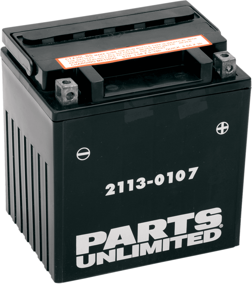 PARTS UNLIMITED 2113-0107 AGM Battery - YIX30L-BS
