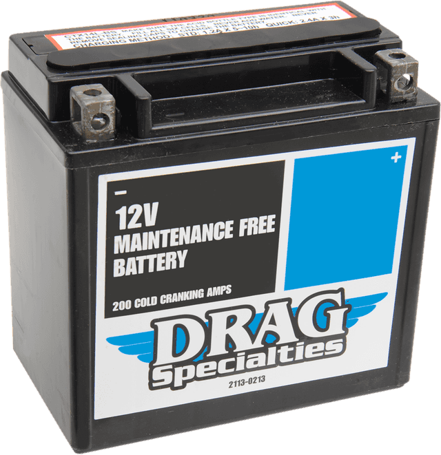 DRAG SPECIALTIES 2113-0213 AGM Battery - YTX14LBS