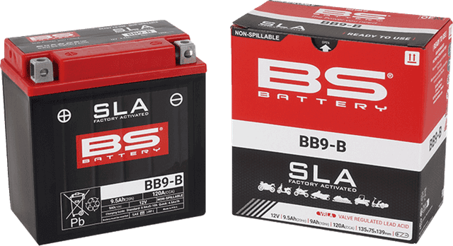BS BATTERY 2113-0605 Battery - BB9-B (YB) — image 2 of 2