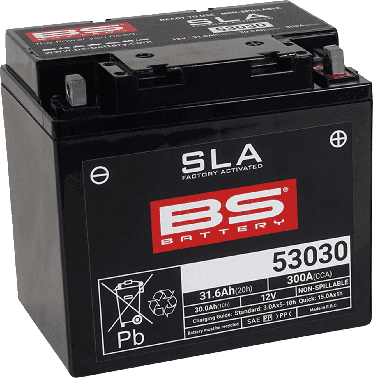 BS BATTERY 2113-0617 Battery - 53030