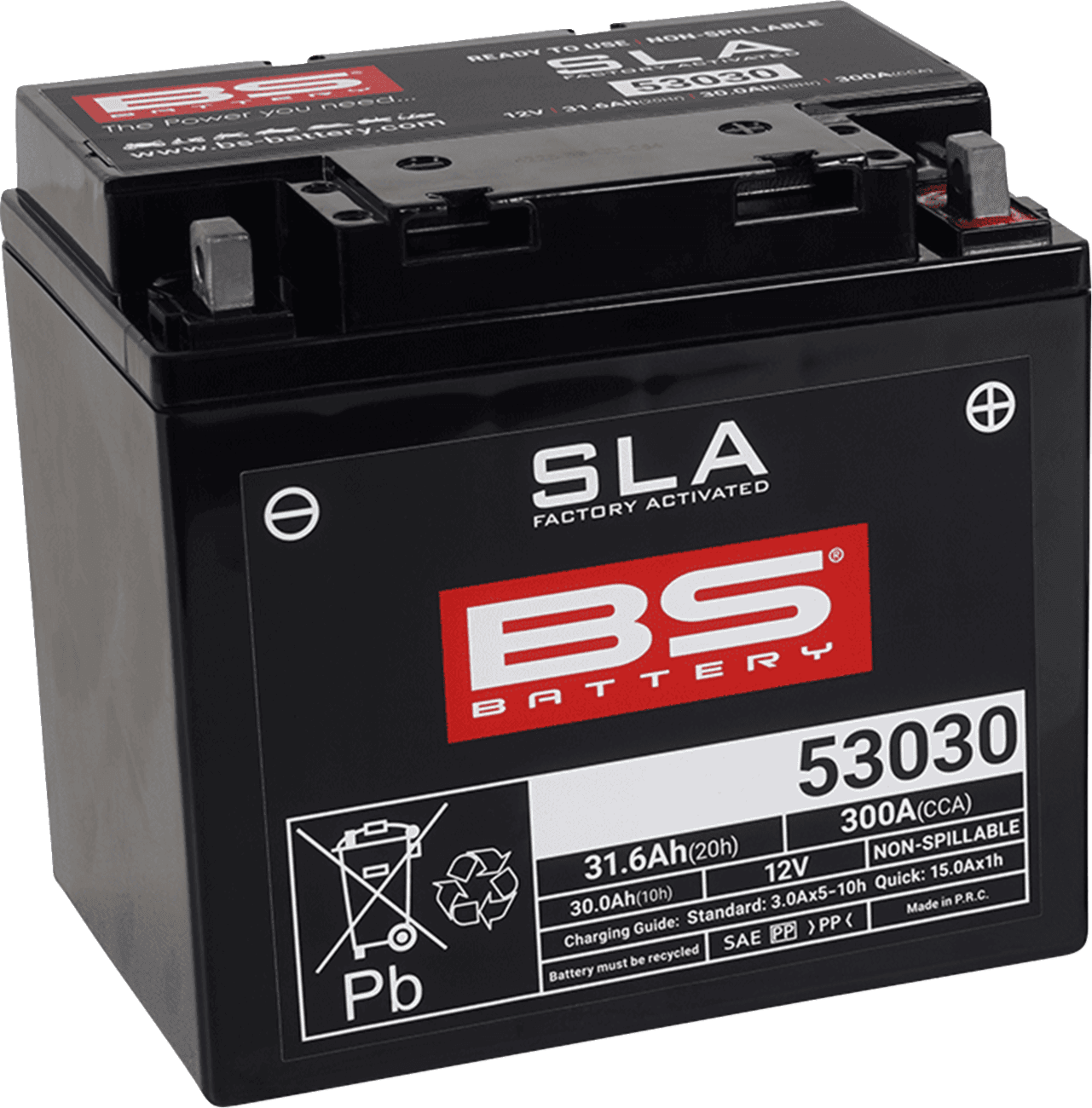 BS BATTERY 2113-0617 Battery - 53030