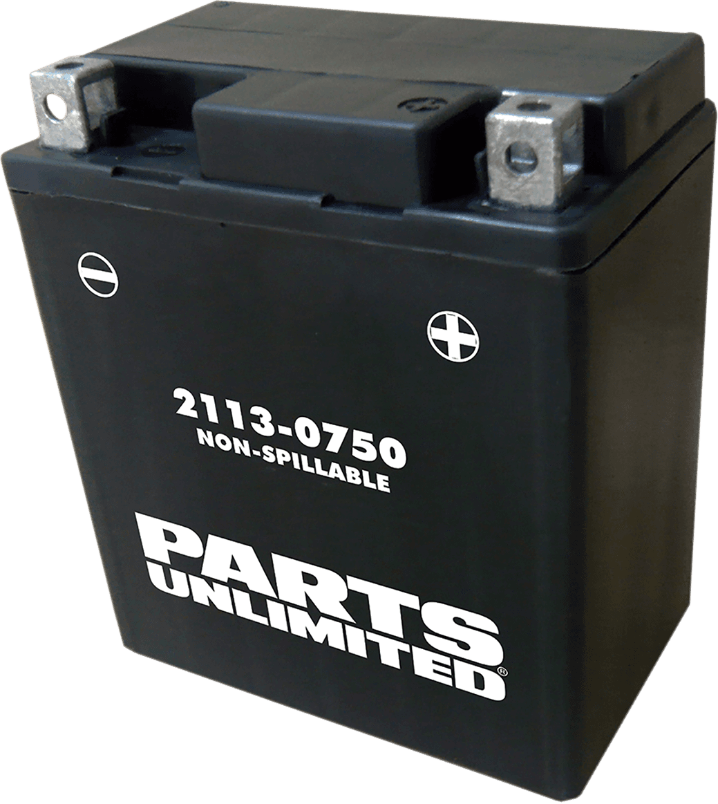 PARTS UNLIMITED 2113-0750 AGM Battery - YTX7L