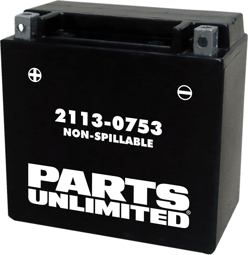 PARTS UNLIMITED 2113-0753 AGM Battery - YTX14