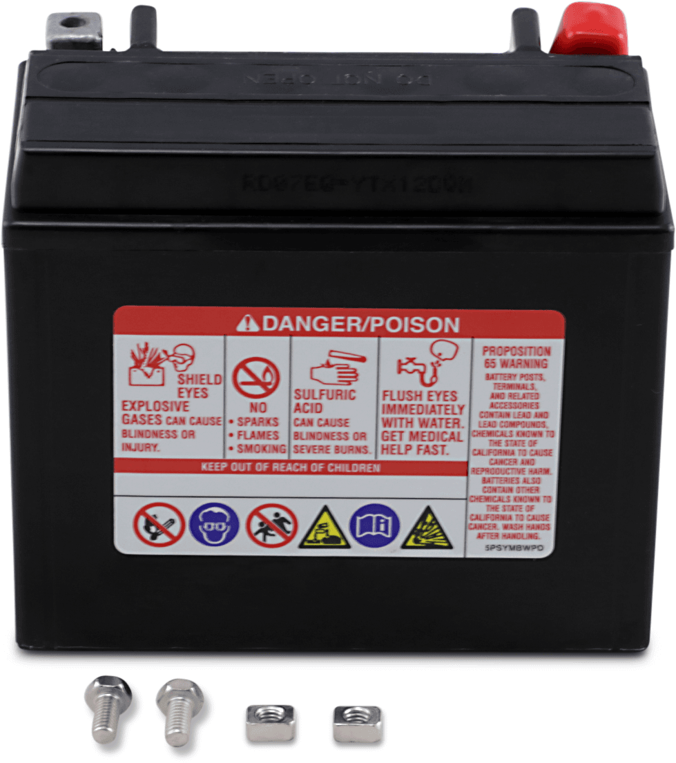 YUASA 2113-0756 AGM Battery - YTX12