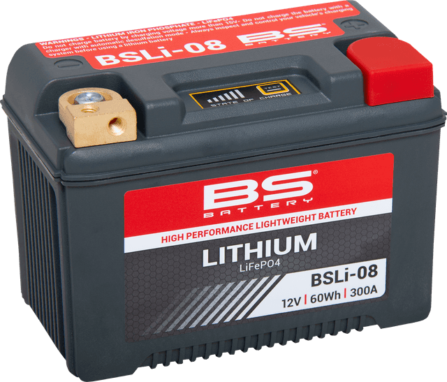 BS BATTERY 2113-0789 Lithium Battery - BSLi-08