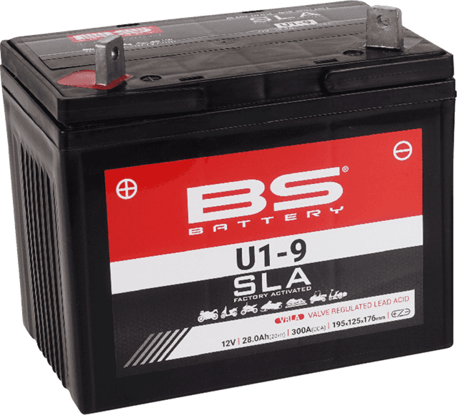 BS BATTERY 2113-0900 Battery - U1-9 — image 1 of 2