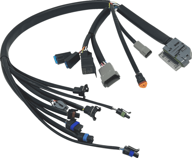 NAMZ 2120-1237 EFI Harness - '04-'05 FLH/FLT