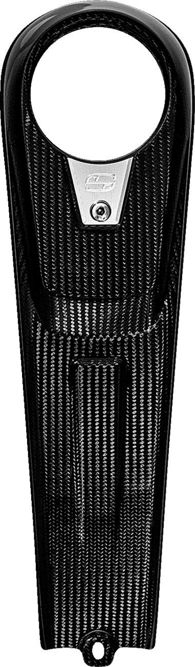 SADDLEMEN 2201-0302 Dash Panel - Carbon Fiber/Gloss — image 1 of 3