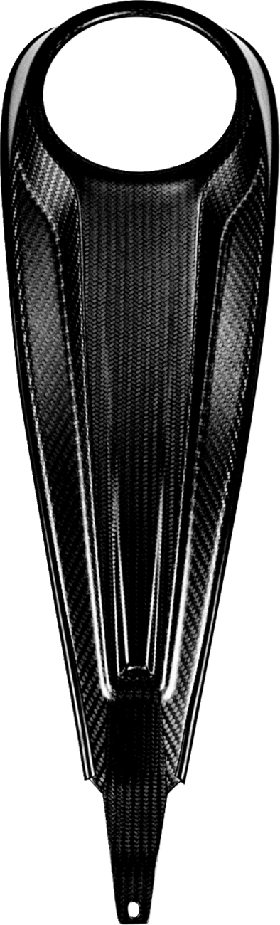 SADDLEMEN 2201-0308 Dash Panel - Center Fill - Carbon Fiber/Gloss — image 1 of 3