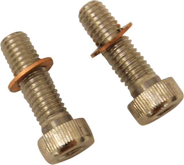 DRAG SPECIALTIES 2401-0851 Screws with/Washers - Damper Tube