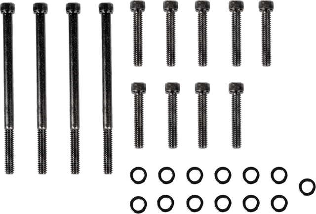 DRAG SPECIALTIES 2401-1040 Bolt Kit - Outer Primary - Knurled/Socket-Head - Black/Chrome - M8