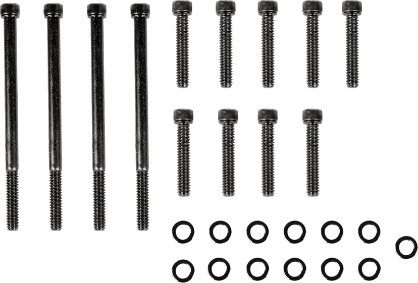 DRAG SPECIALTIES 2401-1040 Bolt Kit - Outer Primary - Knurled/Socket-Head - Black/Chrome - M8