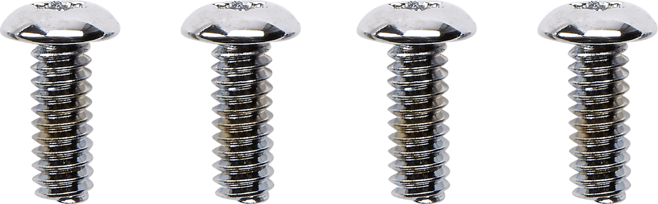 DRAG SPECIALTIES 2401-1565 Screw Kit - Switch Housing - Chrome